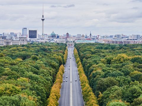 Panorama